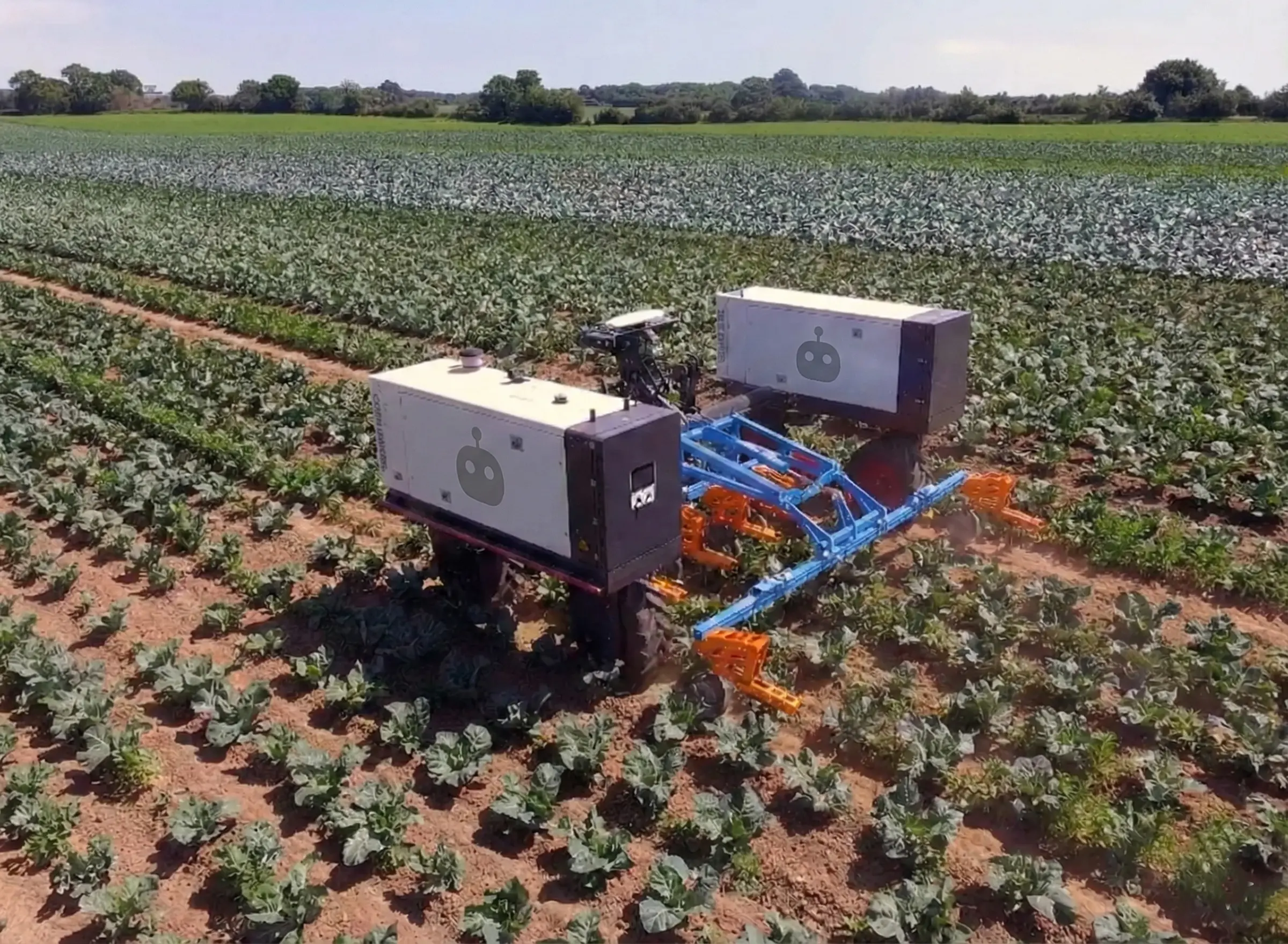 Stressed farmer looking at muddy field