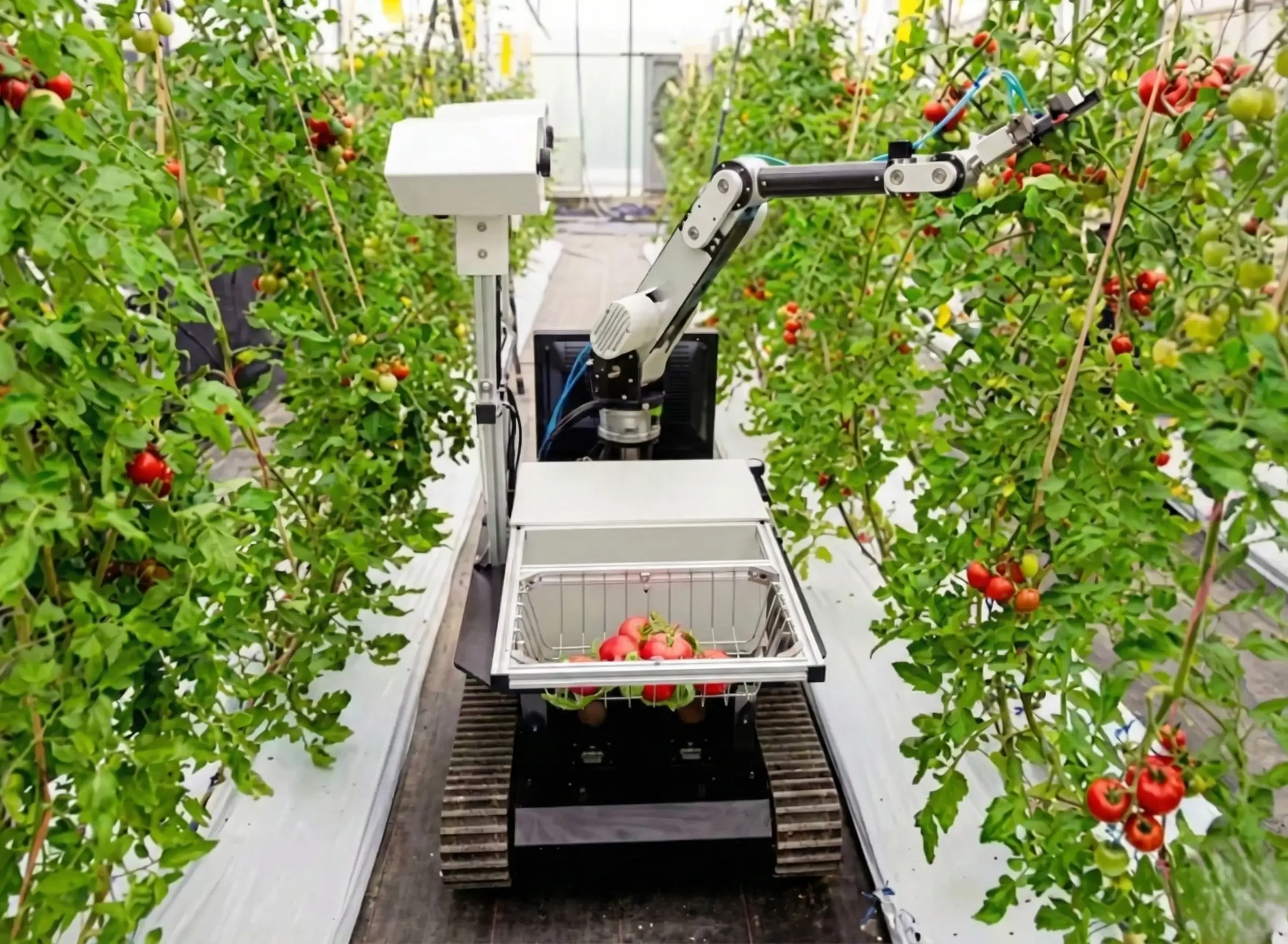 Clean drone spraying field